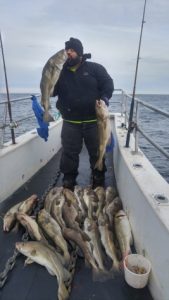 Cod In Rhode Island