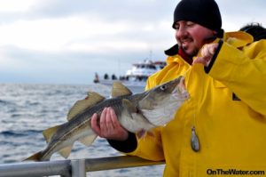 Where to fish Cod in RI