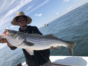 Striped Bass Tall Tailz fishing charters