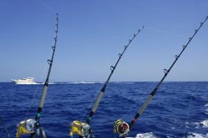 Blue sea and sky in a big game tuna fishing day rods and reels on boat.