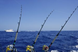 Blue sea and sky in a big game tuna fishing day