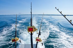 401 fishing reports Drag