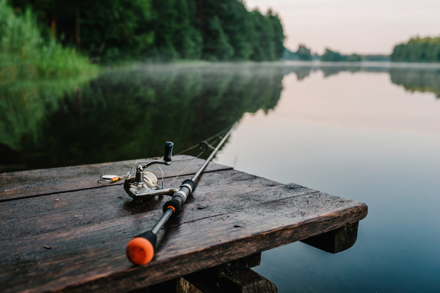 The Best snagging rod and reel For You 401 Fishing Reports