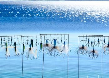 How to Set up Saltwater Fishing Line