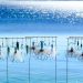 How to Set up Saltwater Fishing Line