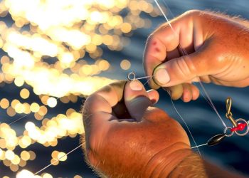 How to Make a Carolina Rig for Saltwater Fishing