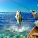 Are Striped Bass Saltwater Fish