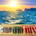 What Bait Is Best for Saltwater Fishing