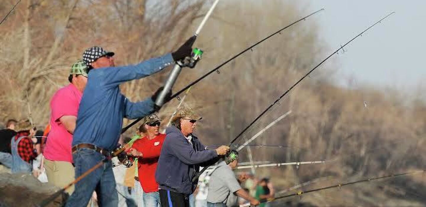 Paddlefish snagging, spearfishing begins Thursday - The Dickinson Press | News, weather, sports from Dickinson North Dakota