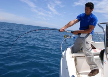 What size sabiki rig for herring fishing?