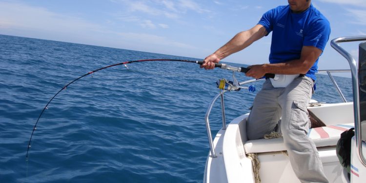 What size sabiki rig for herring fishing?