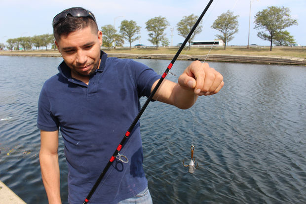 Salmon-Snagging Season Launches In Chicago - Lincoln Park - Chicago - DNAinfo