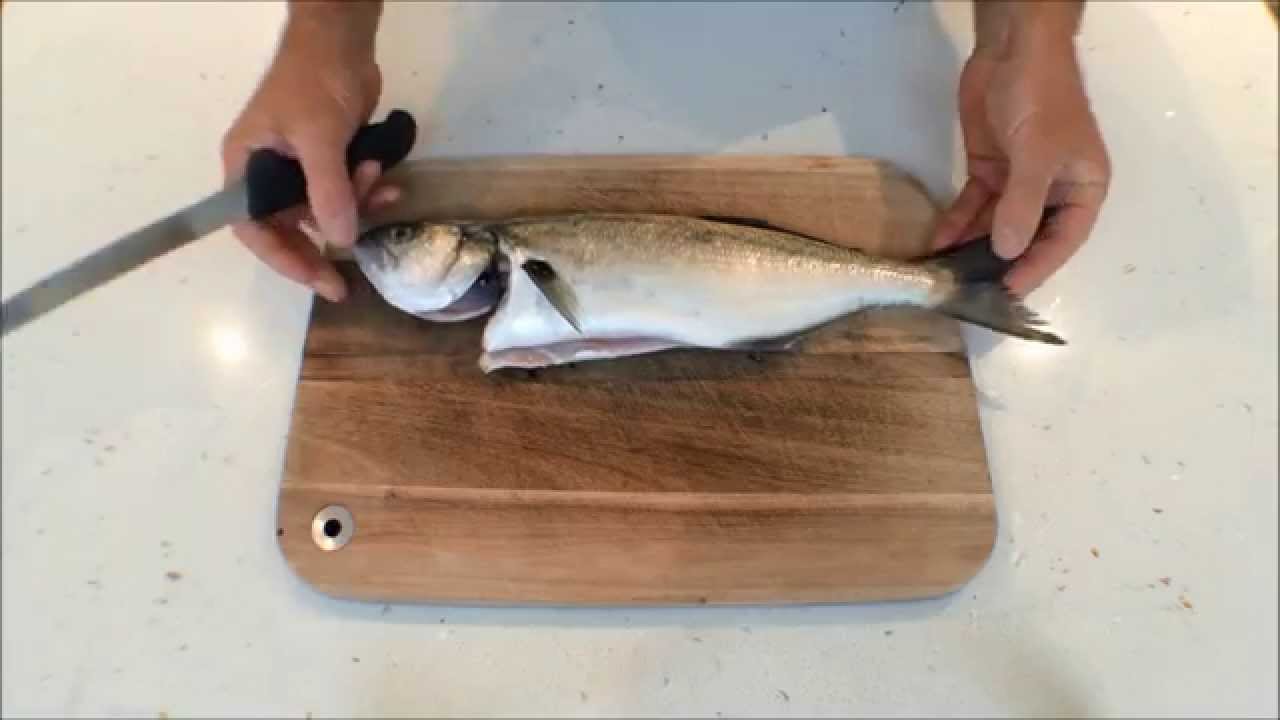 How to Fillet Blue Fish ( Tailor ) | The Hook and The Cook - YouTube