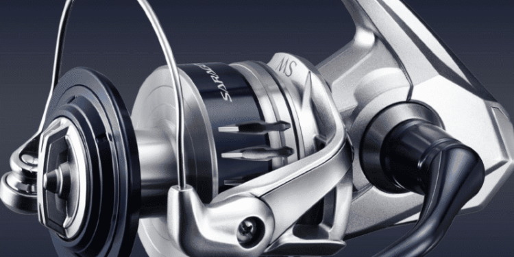 The Saragosa 6000 vs 8000