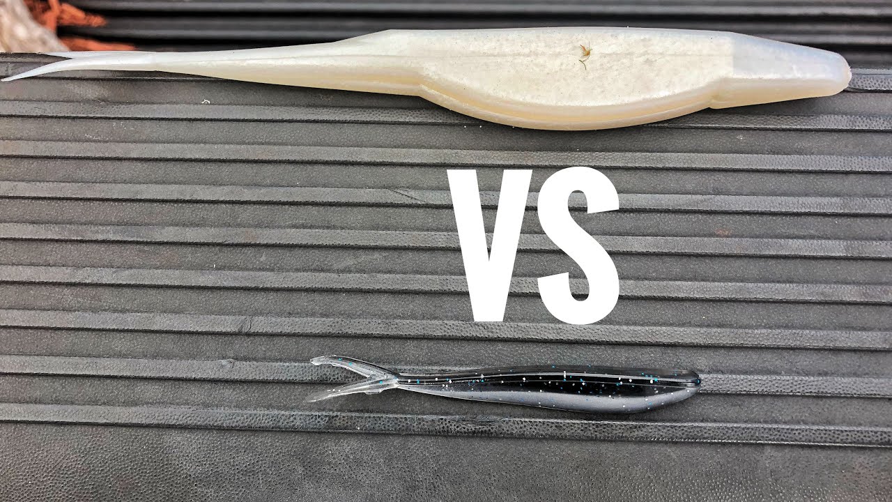 Tiny Fluke VS Big Fluke - - Fishing CHALLENGE - YouTube