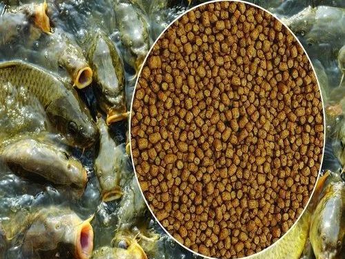 Rohu Fish Feed, Packaging Type: PP Bag, Packaging Size: 50 Kg, Rs 1400/bag | ID: 23178552873