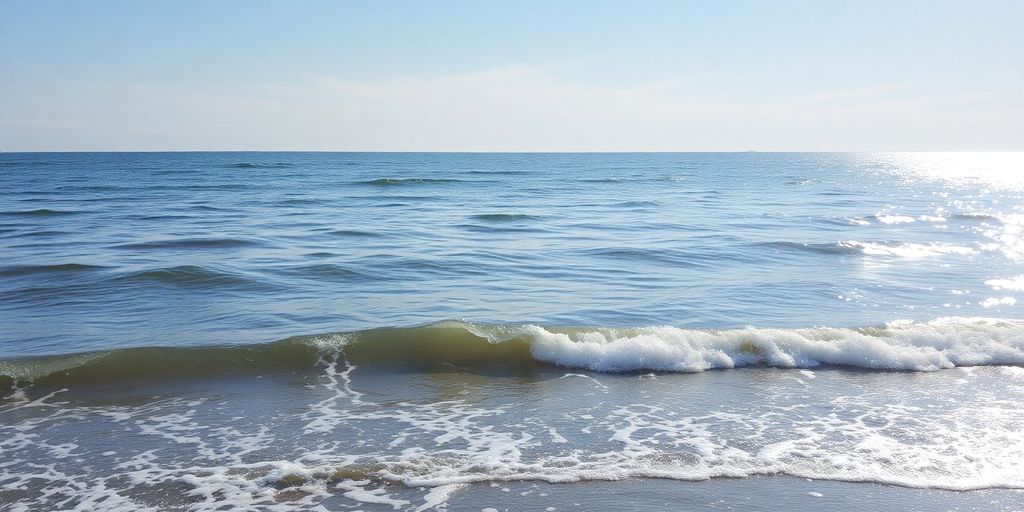 Coastal landscape at high tide with gentle waves.