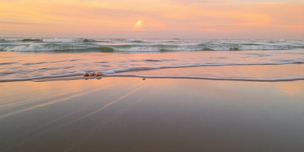 Coastal scene with waves and wet sand at sunrise.